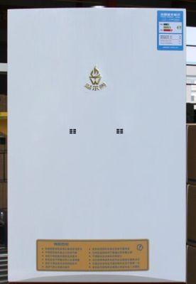 温泰壁挂炉E2故障解析与维修指南（了解E2故障代码原因及解决方案）