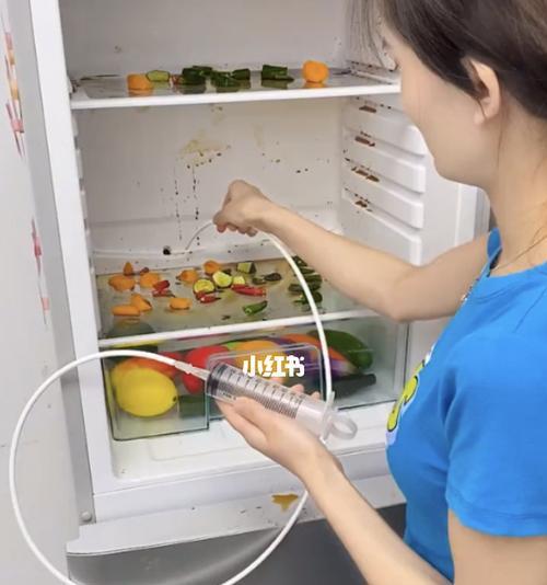 如何有效预防冰箱异味（简单方法让冰箱始终清新如新）