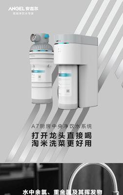 完美净水器清洁指南（保护家人健康）