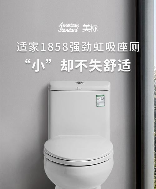 探究美标马桶为何设计两个按钮的原因及解决按下按钮无反应的方法（为什么美标马桶需要双按钮）