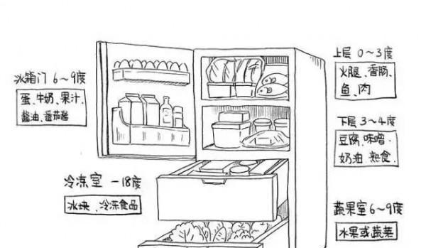 丸子冰柜收纳方法？如何有效整理保持卫生？