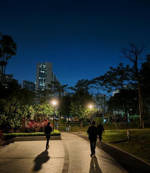 手机夜景模式拍照技巧是什么？