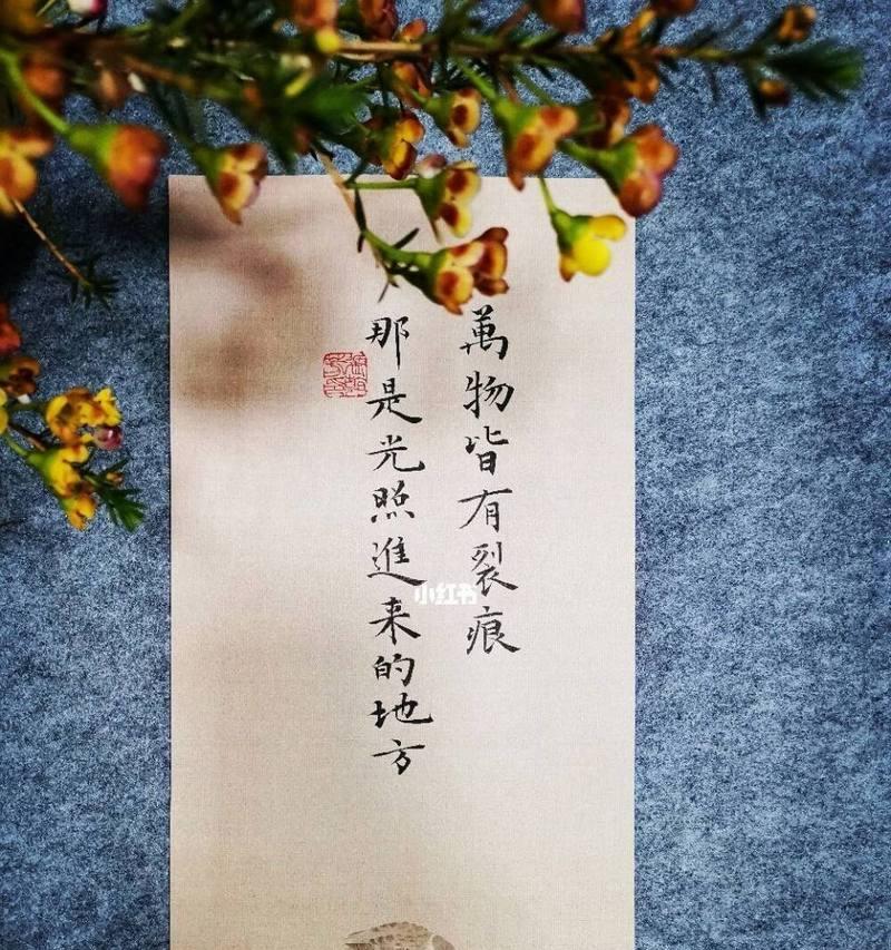 万物杂志相机如何与手机连接拍照？操作流程是怎样的？