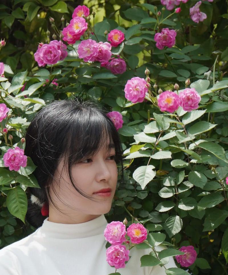 女生如何自觉使用手机拍照？拍照时有哪些技巧可以提高照片质量？