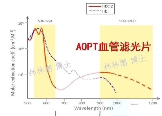 光子路由器的数据传输原理是什么？传输速度如何？