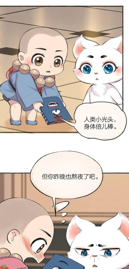 手机软件小呆瓜的功能是什么？