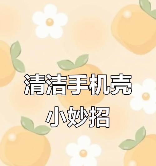 每天清洗手机壳的方法有哪些？清洗后如何保持手机壳的干净？