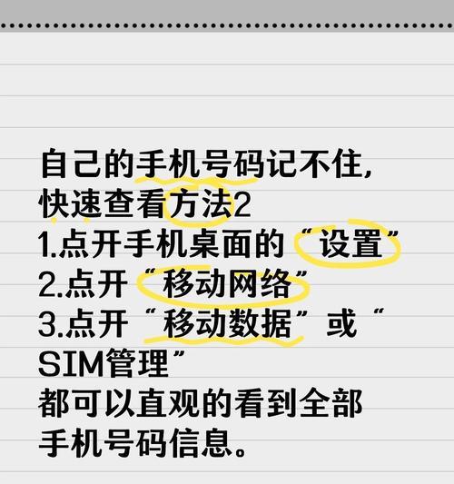 苹果手机的设置选项在哪里？如何快速访问常用设置？