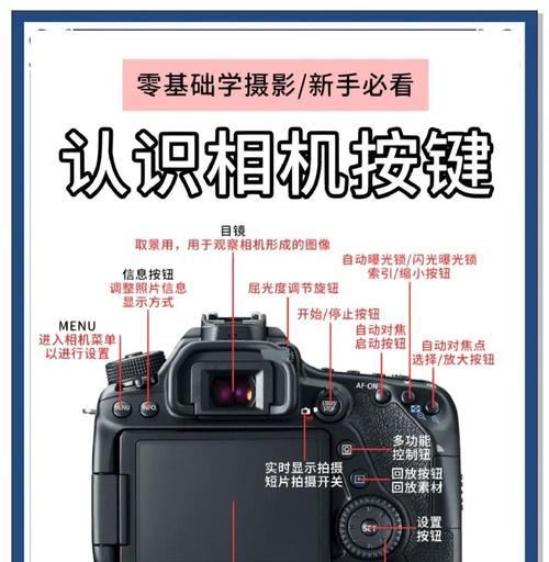 佳能相机半按快门如何构图？拍摄时的最佳实践是什么？