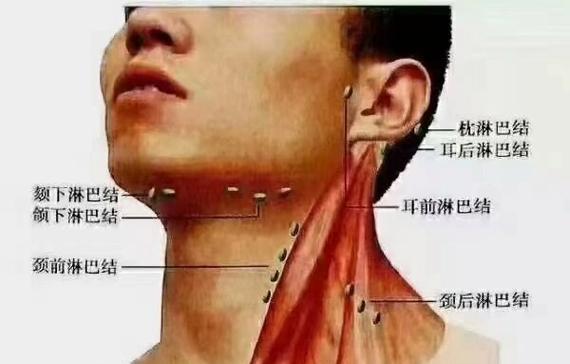 台式电脑下巴变宽如何解决？变宽后对使用有何影响？