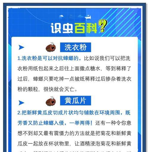 洗衣机为何容易生蟑螂？如何预防？