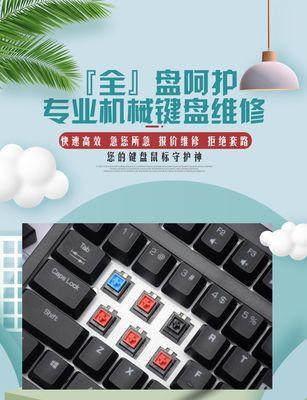 鼠标进水导致电脑黑屏怎么办？如何应对电子设备进水情况？