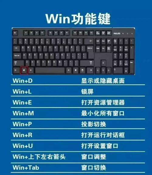 老七掰键盘的原因是什么？