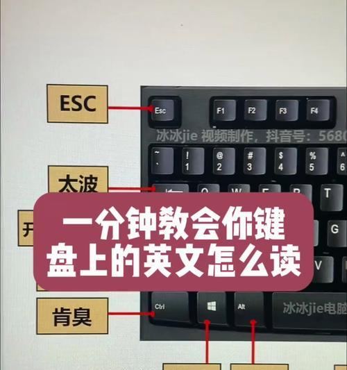 老七掰键盘的原因是什么？