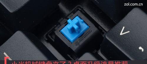 小米键盘价格上涨的原因是什么？