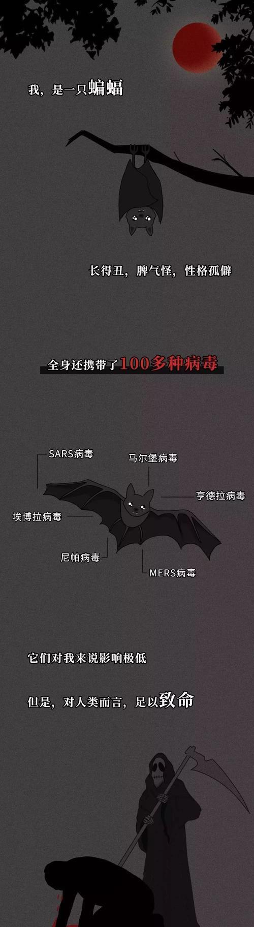 猎奇电脑病毒如何清理？清理步骤是什么？