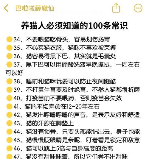 猫咪为什么喜欢趴电脑键盘？如何防止猫咪干扰？