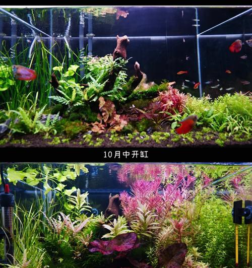 爆藻灯散热器安装方法？