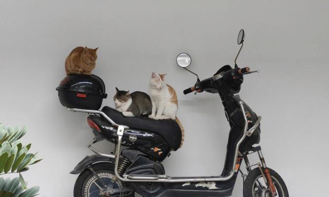 电瓶车挡风猫关闭方法是什么？