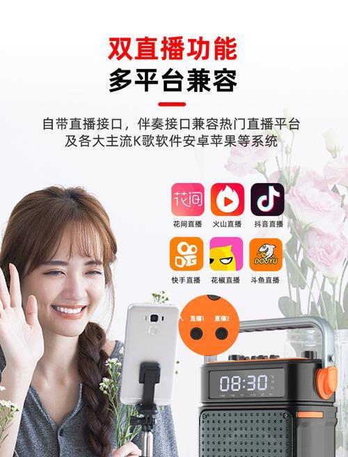 dj直播音响套装的性能如何？适合哪些场合使用？