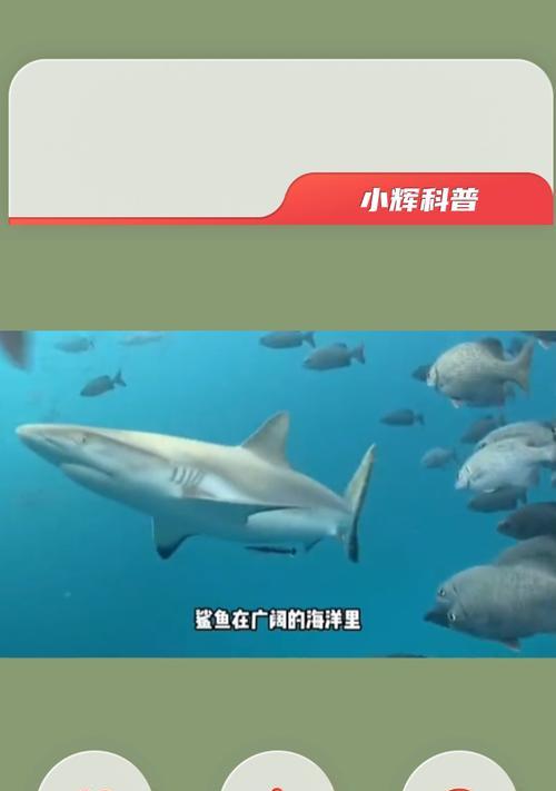 小辉使用的手机软件有哪些特点？如何下载使用？