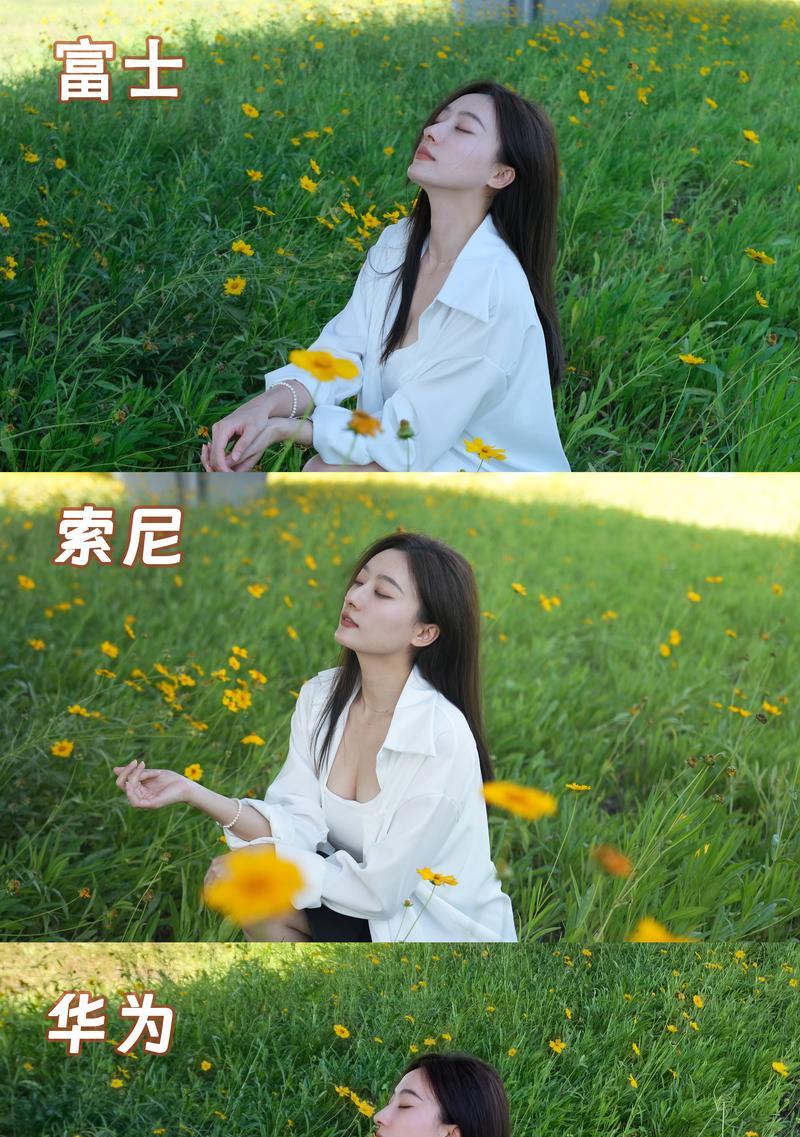 相机和平板的搭配技巧有哪些？如何实现最佳拍摄效果？