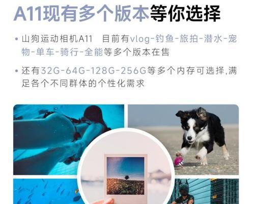 相机防抖功能如何提升效果？