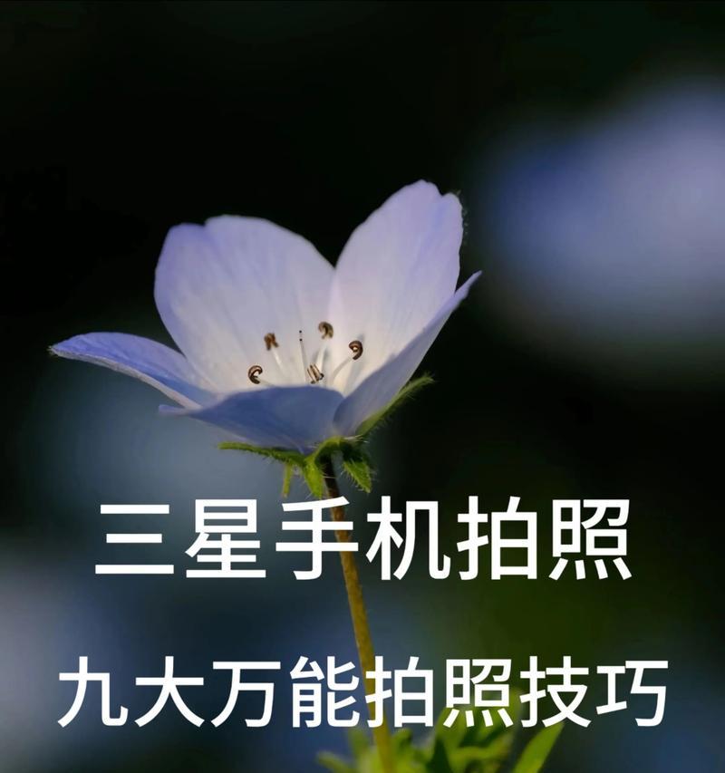 拍摄视频的五大技巧（手机摄影师必备的拍摄技巧）